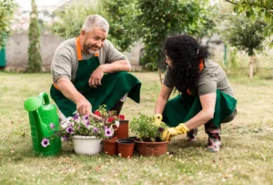 Elderly companionship care London